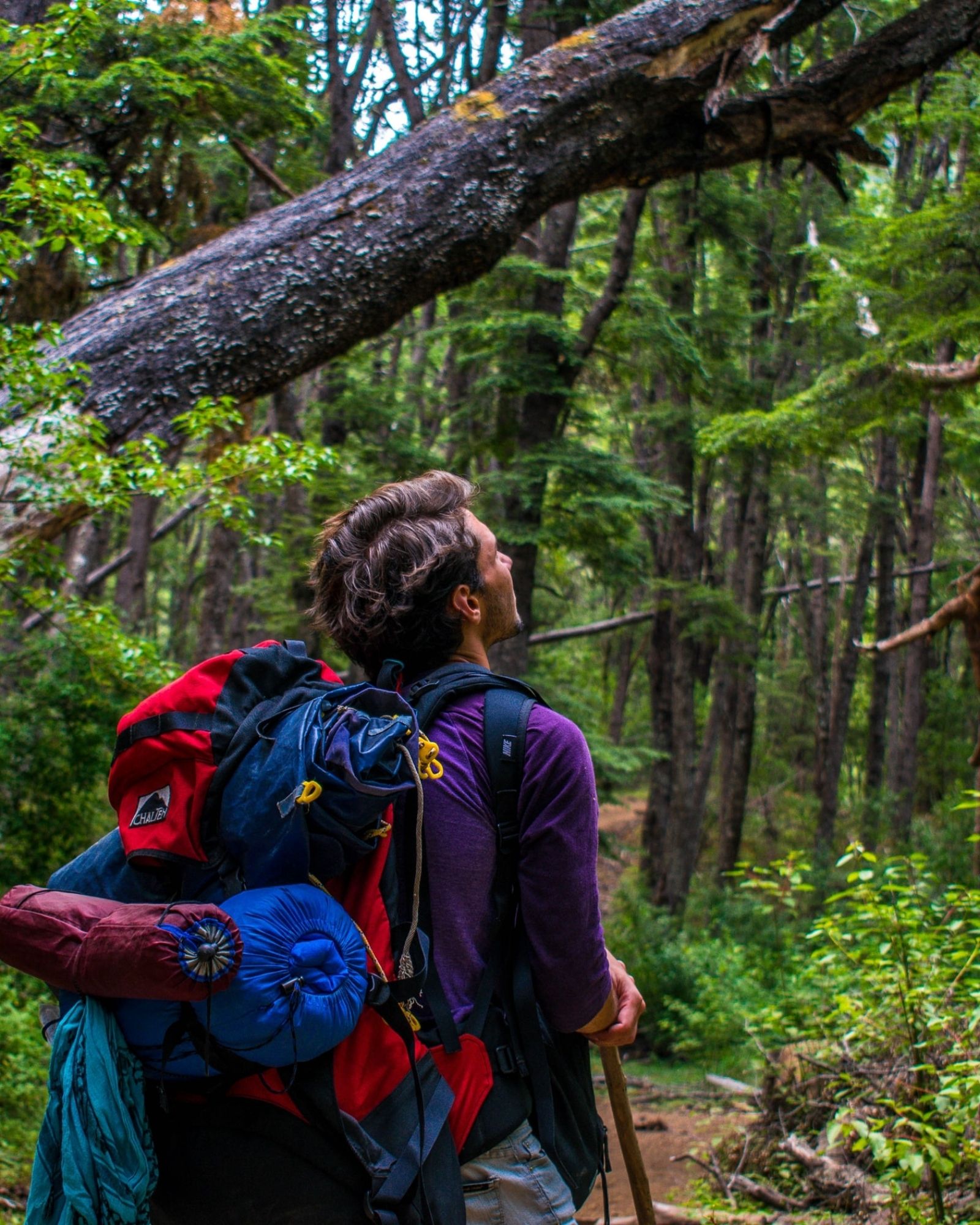 Backpacker in the woods