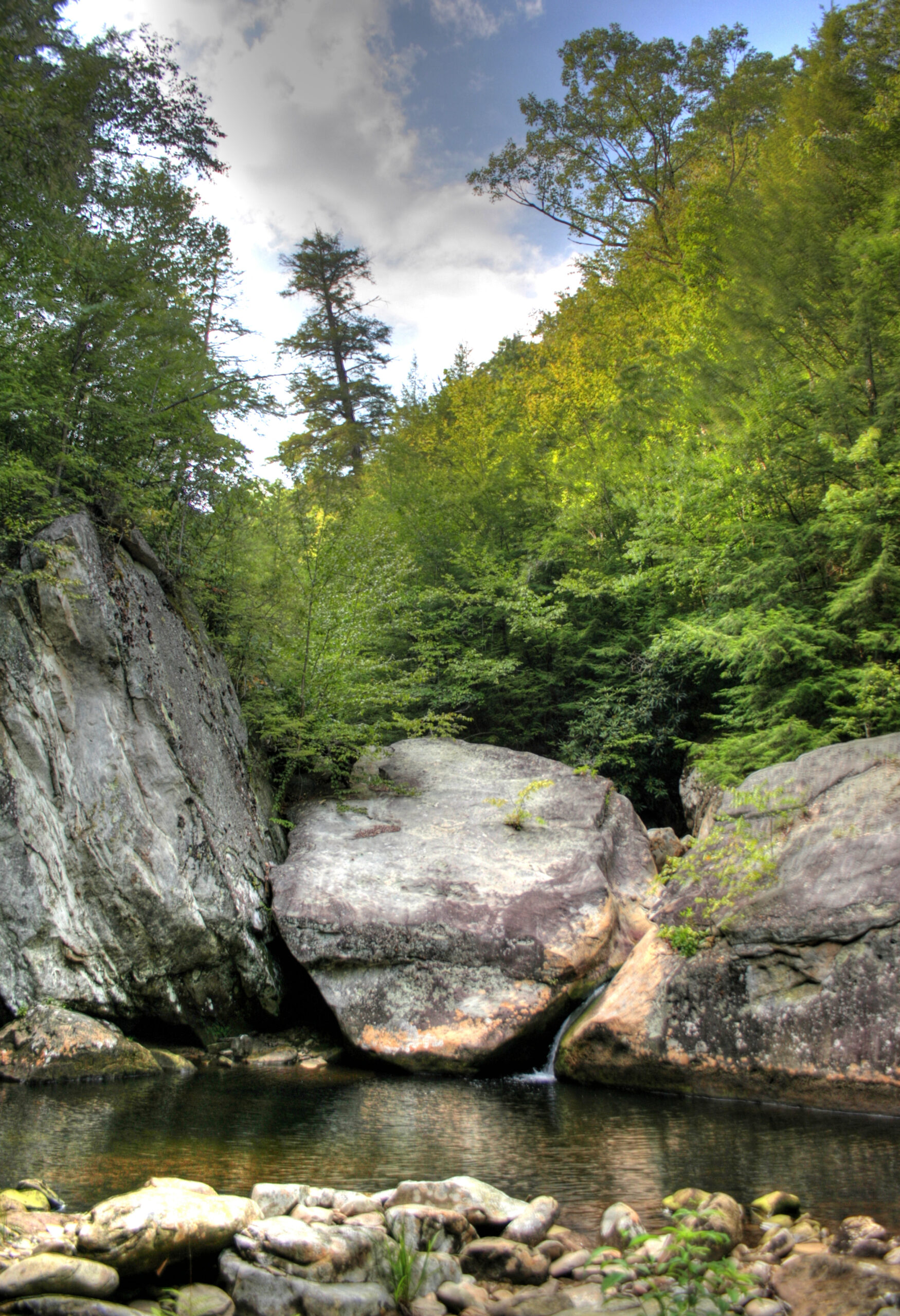 Martins Fork WMA Wild River 3