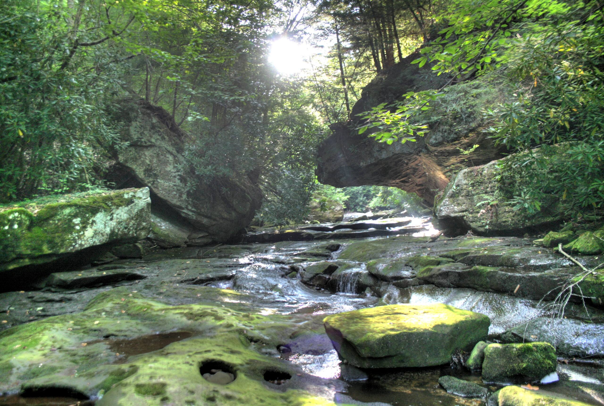 Martins Fork WMA Wild River